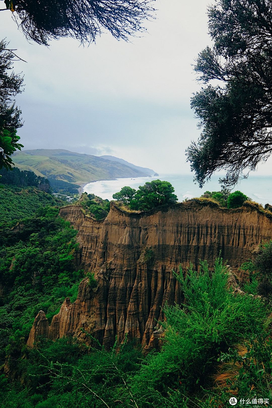 阳光普照南岛北地，自然美景风光无限