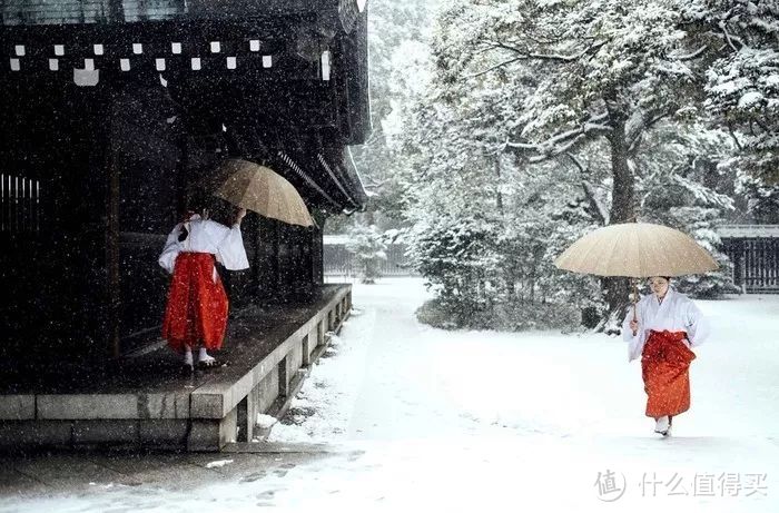 和服体验已经过时啦，去神社当一天的巫女，才是日本最新的时髦玩法~