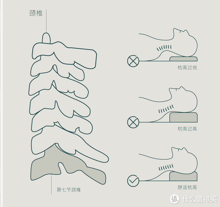 高低随心变，入睡更安眠——菠萝斑马笑脸枕