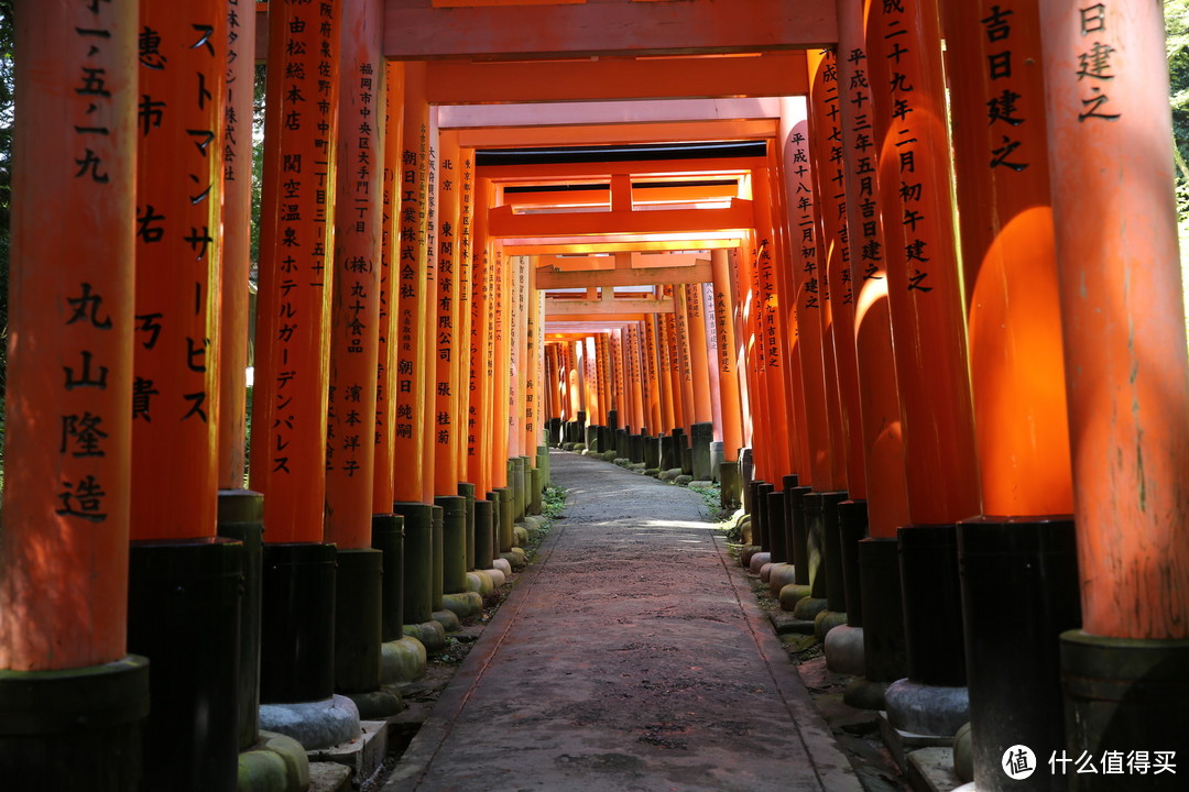 躲避人潮，在京都你可以去哪儿？