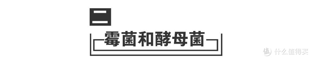 这些网红面膜千万不要买！