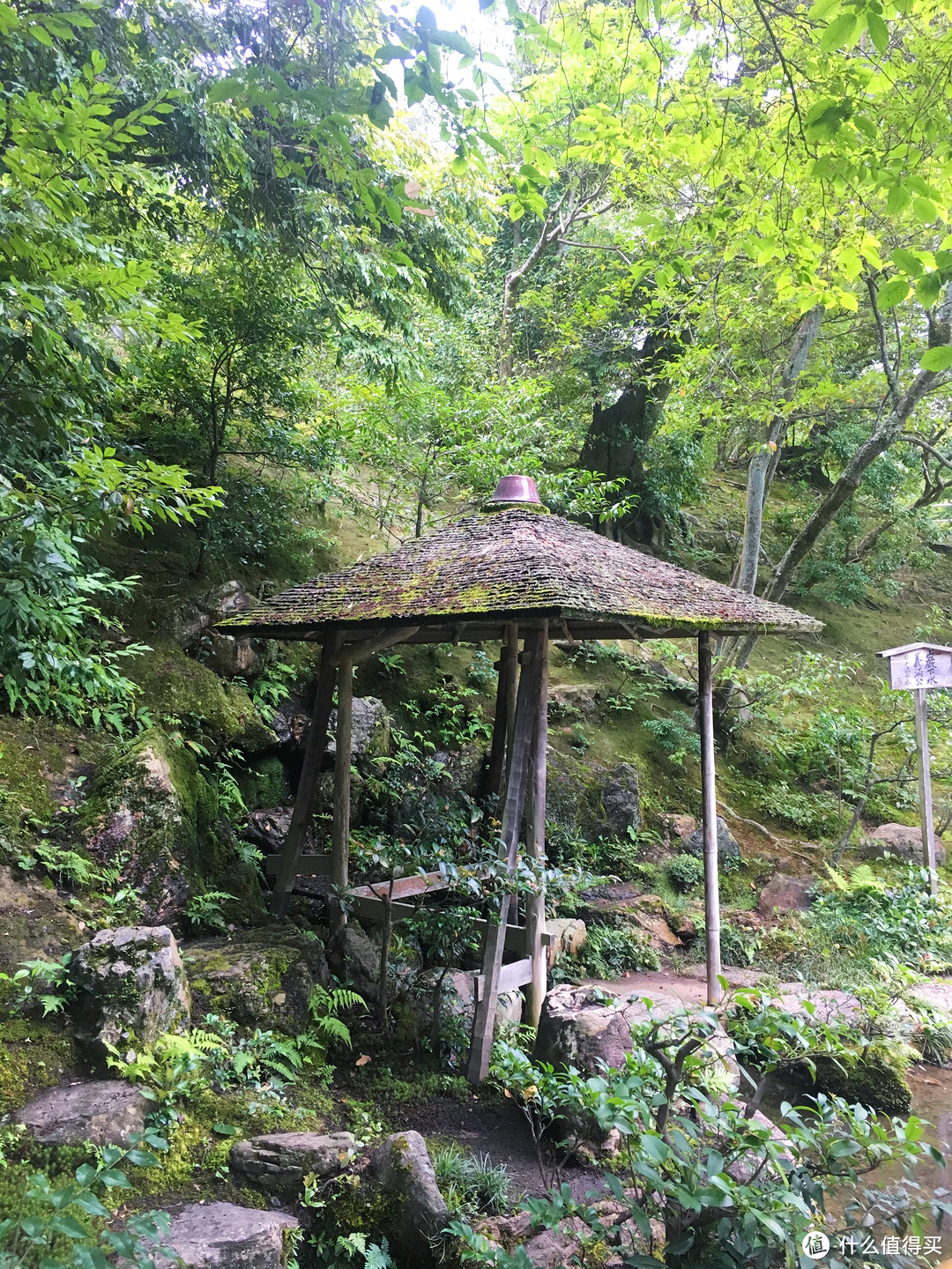 没有樱花和红叶的夏天，日本关西人文之旅怎么玩更有趣