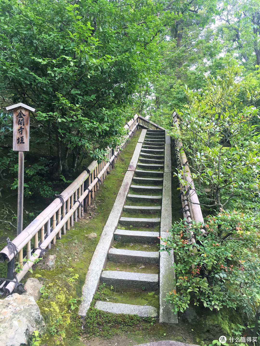 没有樱花和红叶的夏天，日本关西人文之旅怎么玩更有趣