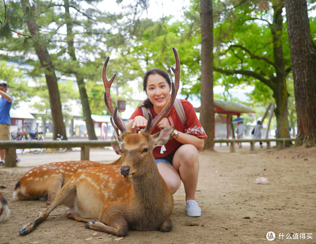 没有樱花和红叶的夏天，日本关西人文之旅怎么玩更有趣