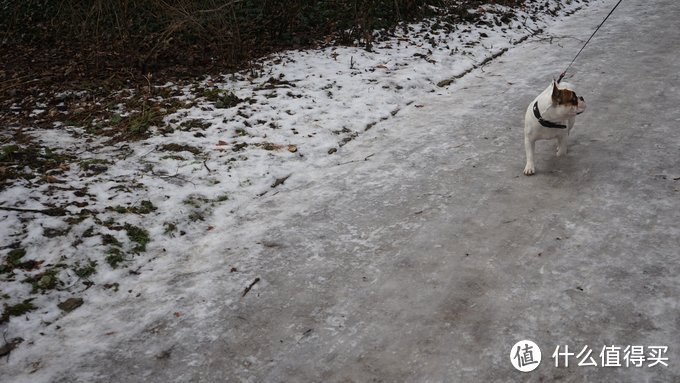 冰天雪地时感受冷漠脸的德国人，吐槽不靠谱的德国高铁