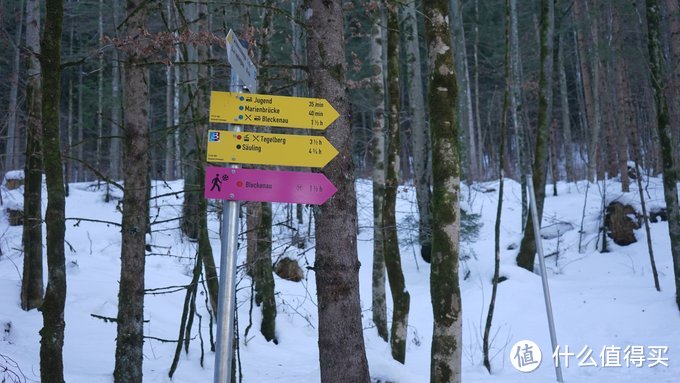 冰天雪地时感受冷漠脸的德国人，吐槽不靠谱的德国高铁