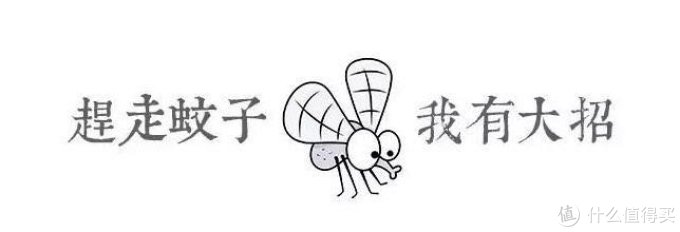适合全家使用 各国驱蚊液推荐