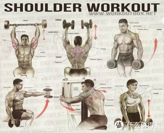 肩部肌肉训练方法
