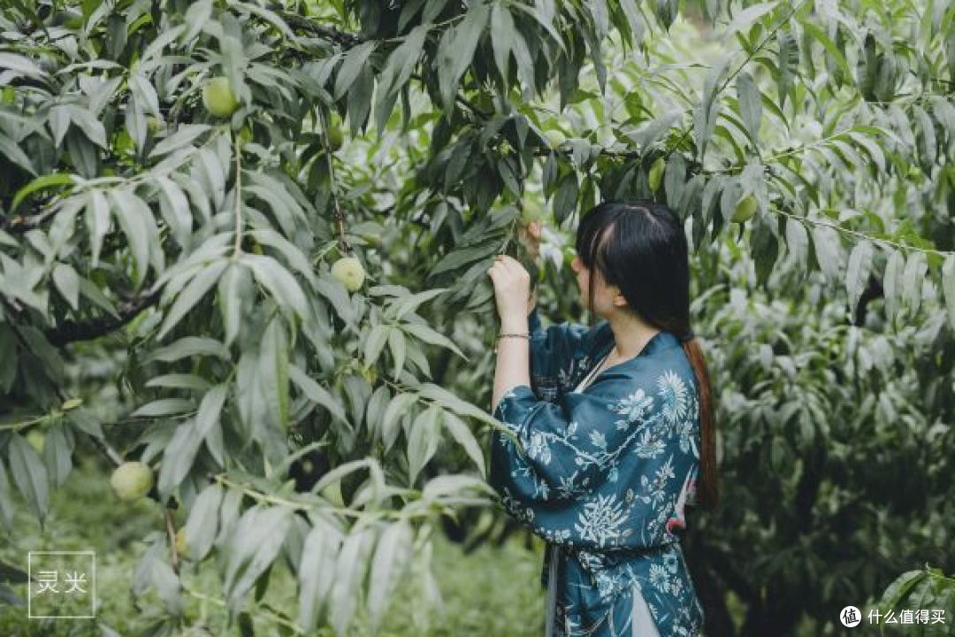 自驾去莫干山度假,还在找民宿?不如加点儿预算住个大别墅