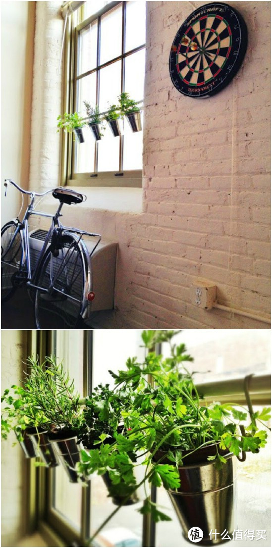超有创意！宜家大路货简单DIY，变身高颜值绿植花器