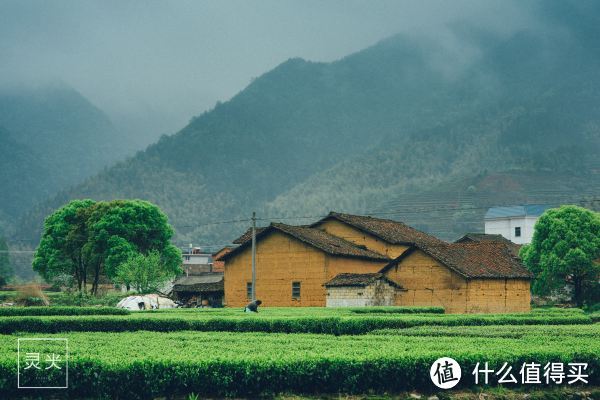 用1000元去遂昌 看山看云看梯田