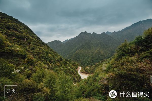 用1000元去遂昌 看山看云看梯田