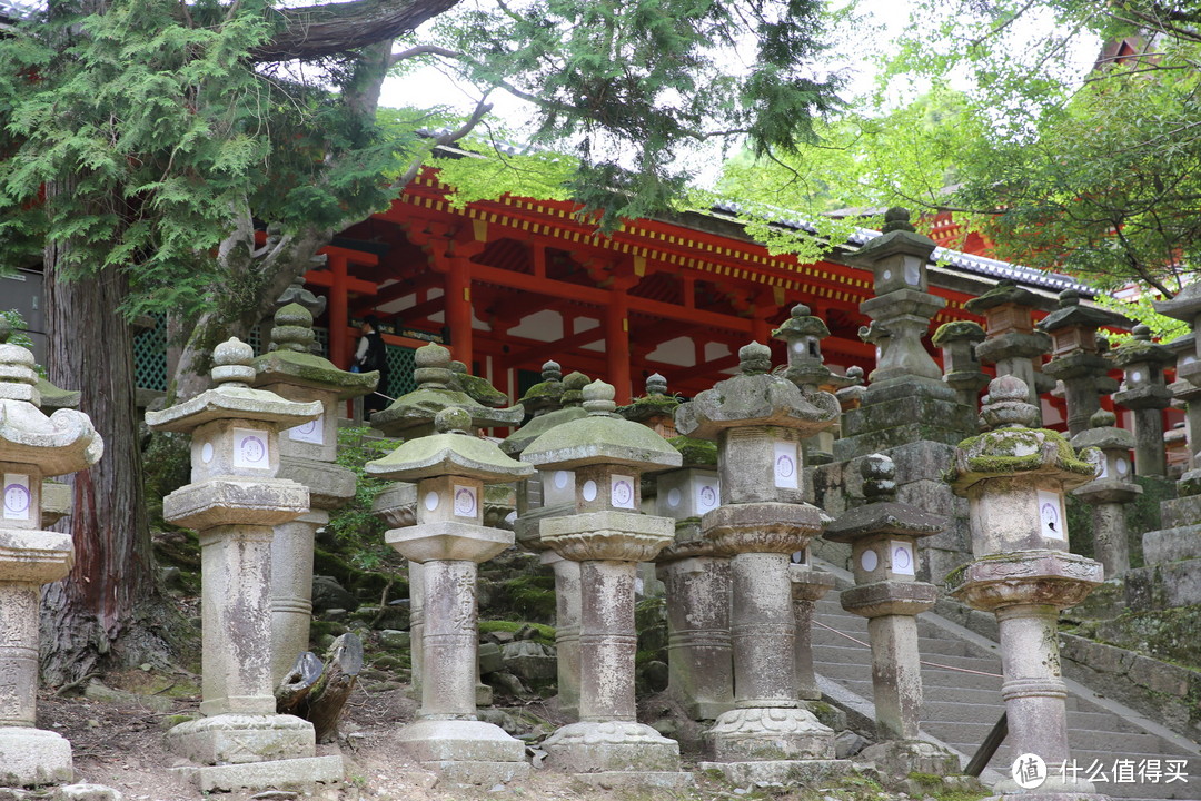 关西除了京都，你还可以去的地方