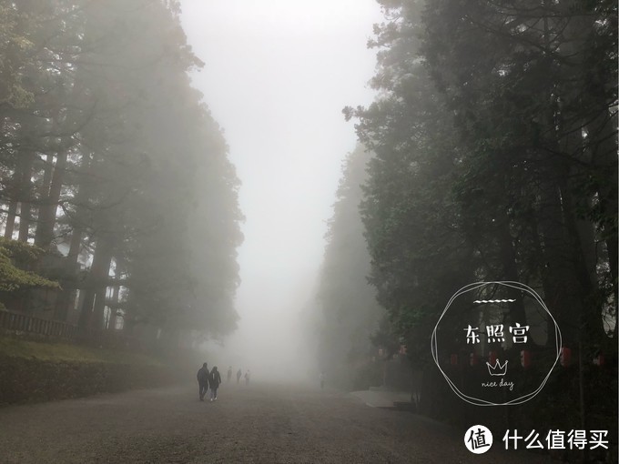 避开日本热门樱花季，错峰看看最美的青森樱花