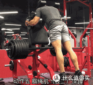 初入健身房不再懵B,一篇教你如何使用健身房的固定器械?还办什么私教课?