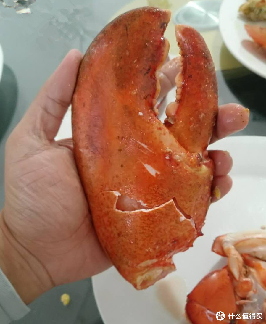 初入健身房不再懵B,一篇教你如何使用健身房的固定器械?还办什么私教课?