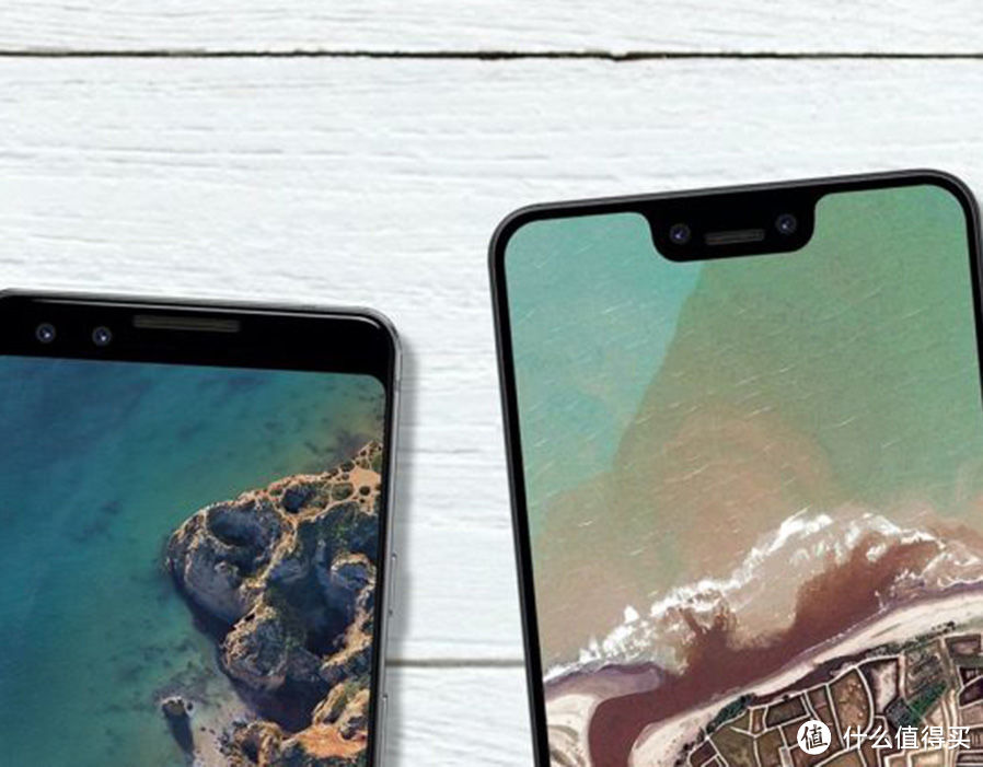 谷歌新旗舰Pixel 3和3 XL代号到底是什么鱼？生物学科普兼手机解析