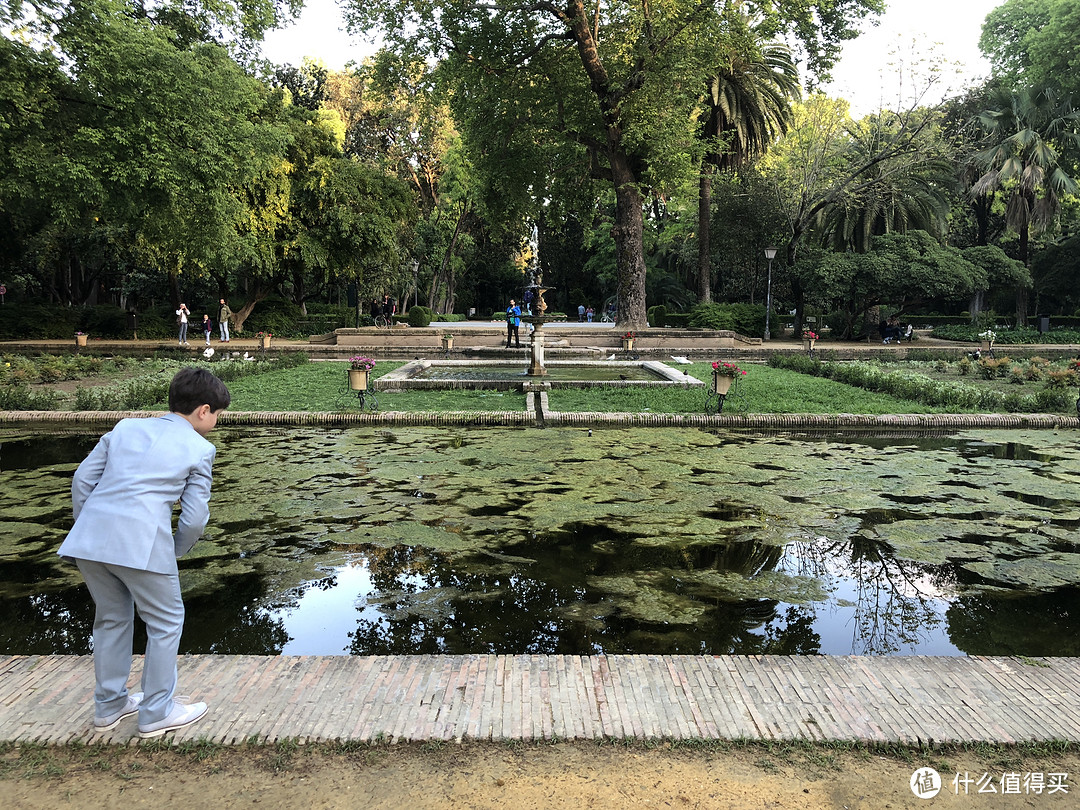 不过水还是干净的，应该是有点富营养化了