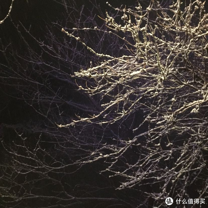 晚来天欲雪，华岳正当时。记雪夜登华山