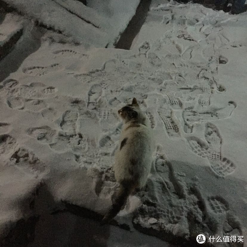 晚来天欲雪，华岳正当时。记雪夜登华山