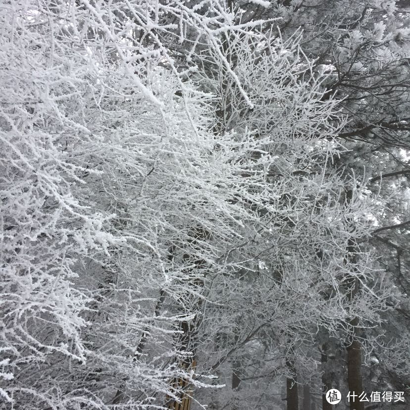 晚来天欲雪，华岳正当时。记雪夜登华山