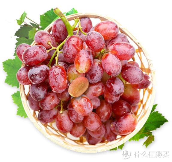 葡萄也是个“海归” 我国主流食用葡萄品种推荐