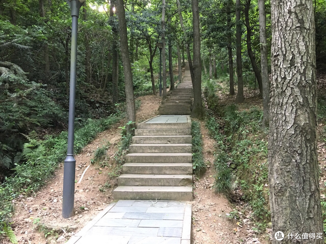 夏游之峙山，鸣鹤古镇