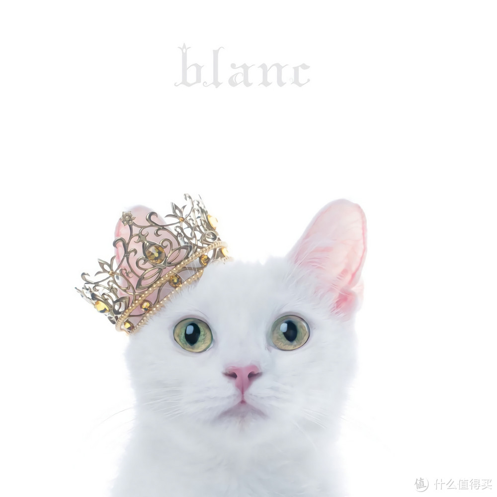 BEST SELECTION “blanc”-11 Aimer-雪の降る街