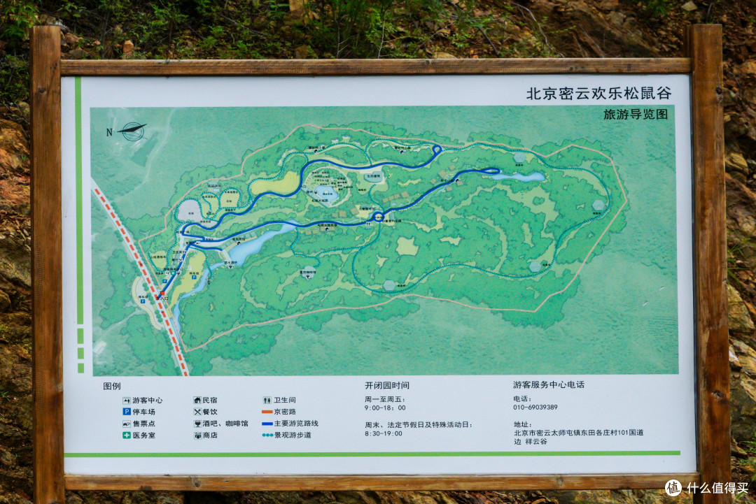 帝都京郊带娃解放天性,与2000多只森林的小精灵一起玩耍