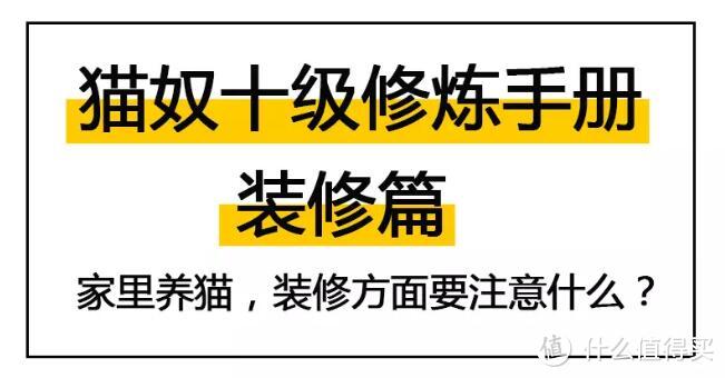 家有猫狗，装修应该注意什么？