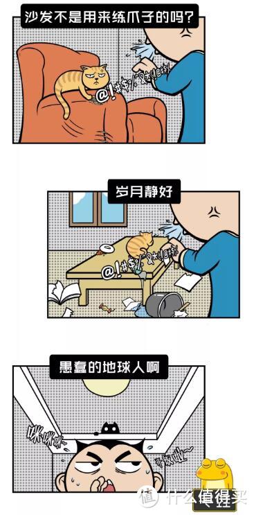 家有猫狗，装修应该注意什么？