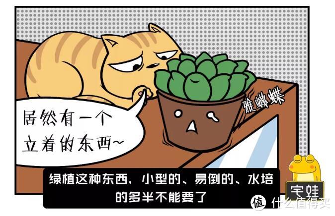 家有猫狗，装修应该注意什么？