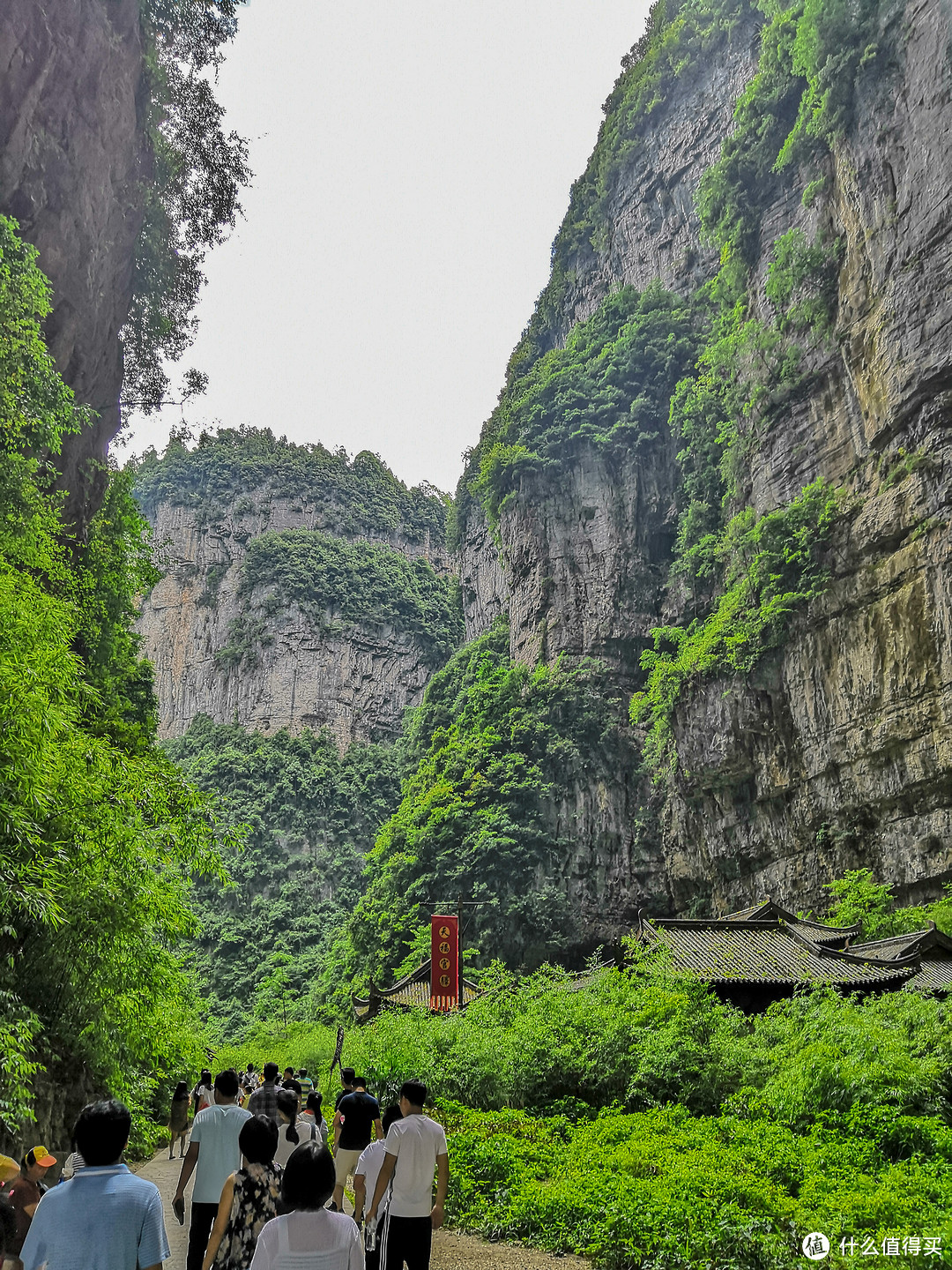 入蓉洞+下天坑+游地缝—重庆武隆喀斯特地貌2日游复盘