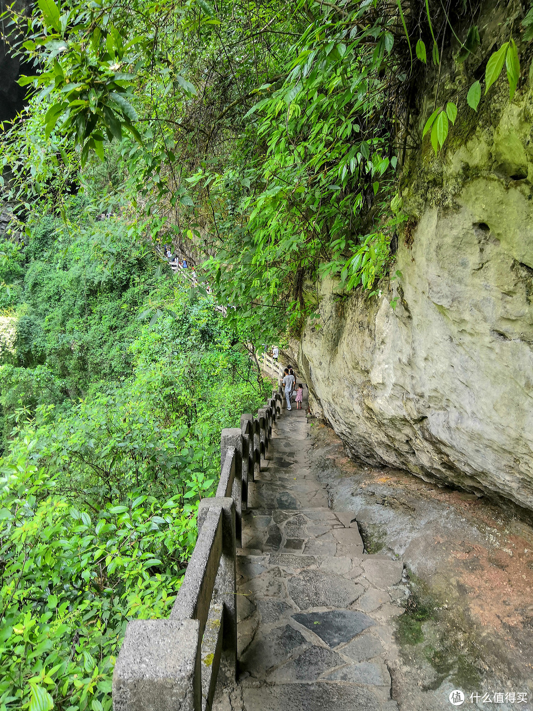 入蓉洞+下天坑+游地缝—重庆武隆喀斯特地貌2日游复盘