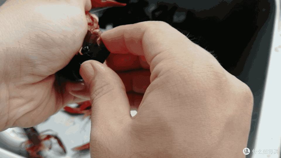 寻找最好吃的小龙虾—挑虾、洗虾、比较麻辣小龙虾调味包