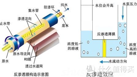 过滤直饮+六档即热，饮水何须等待：BEWINCH 碧云泉 JST-R302E 台式反渗透净水机深度测评