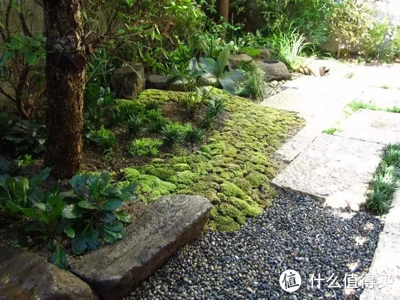 1平米～1000平米，都能搞日式庭院