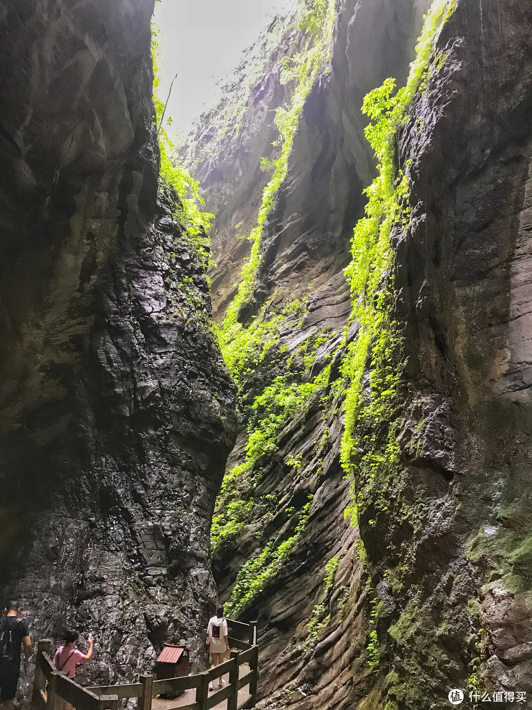 从长沙到重庆，这是一个带着辣味的自驾之旅