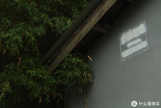 尼康1之J1,它不是鸡肋,但没人吃