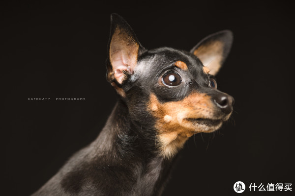 Godox 神牛 V350S 机顶闪光灯 开箱及使用体验