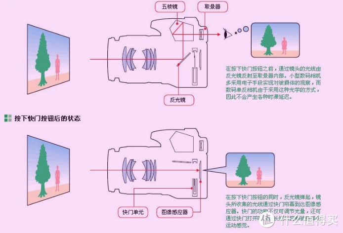 手机秒单反真的靠谱吗？相机科普及选购指南