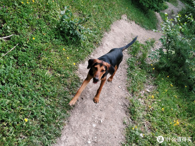 用东南亚的预算,游准欧洲国家-格鲁吉亚全攻略