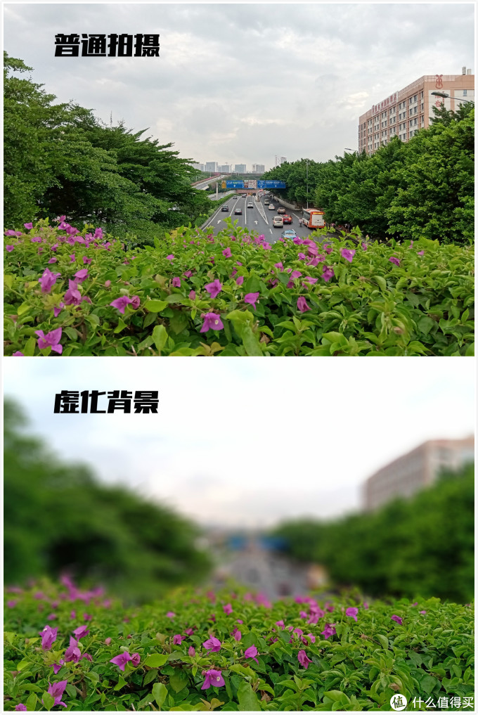 可以看到照片稍稍加亮,可惜左侧部分前景花被"无辜"虚化,前后景分界