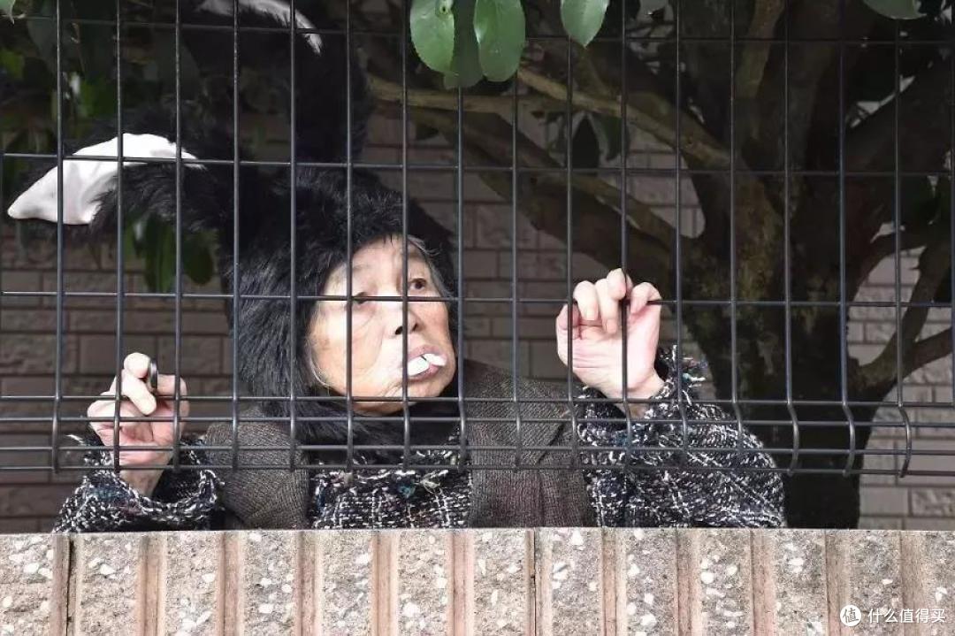 我是谁?我在哪儿?快放我出去