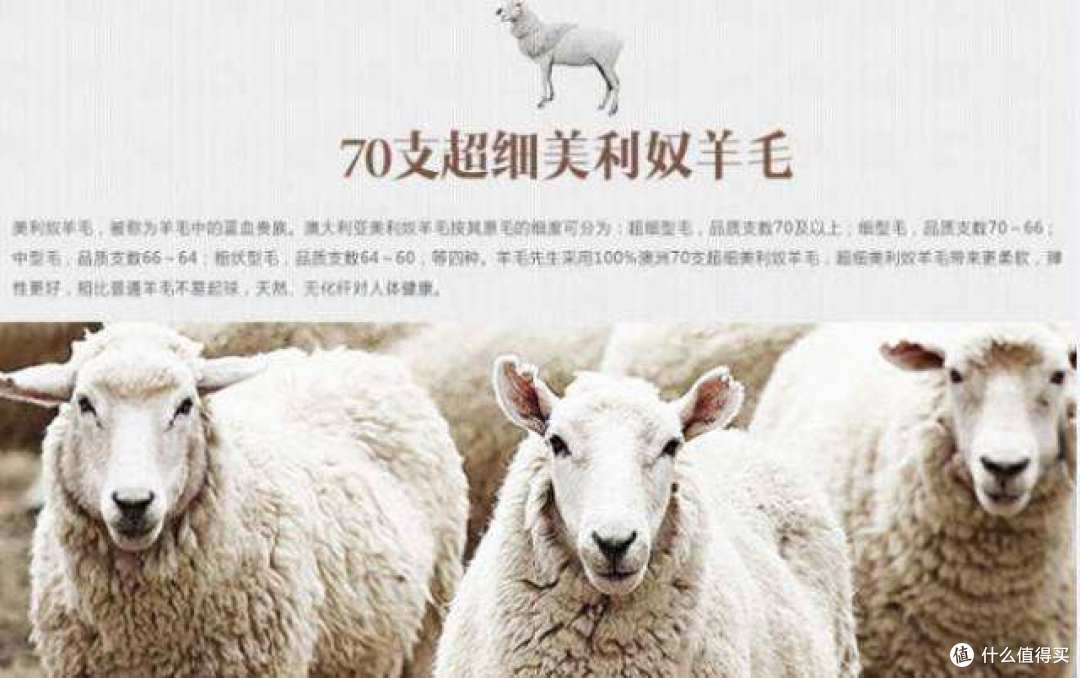 美丽奴羊毛