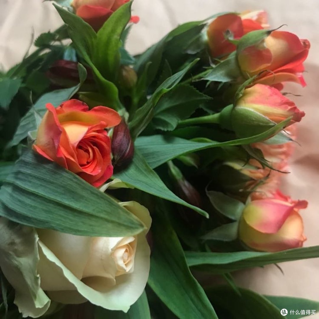 FlowerPlus·悦花—收花鉴赏