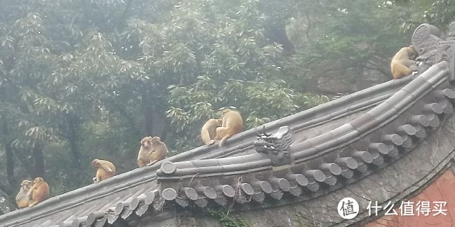 曾经跨过山和大海——连云港周末两日游