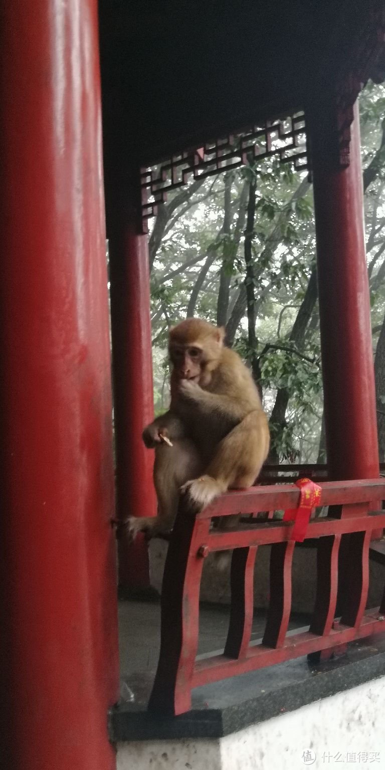 曾经跨过山和大海——连云港周末两日游