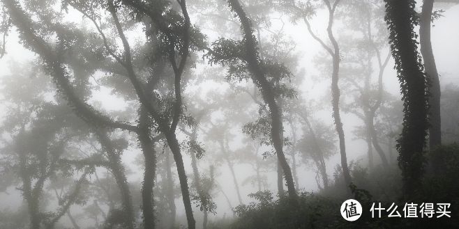 曾经跨过山和大海——连云港周末两日游