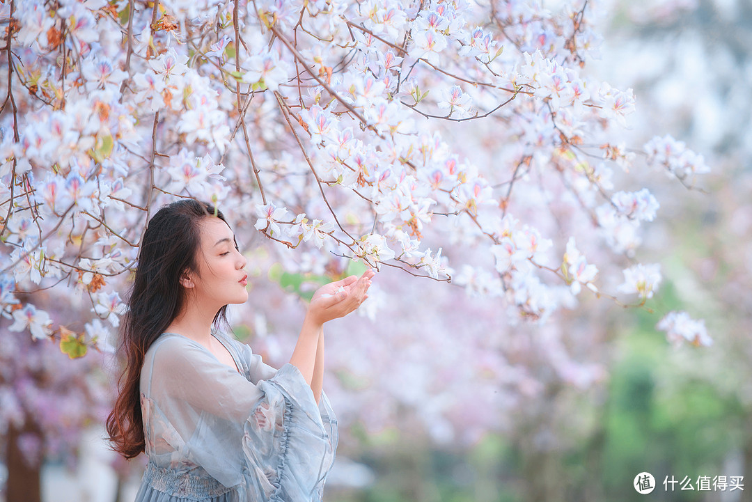 一长条的花全都压缩在一起，虚化和前中后景都比较明朗